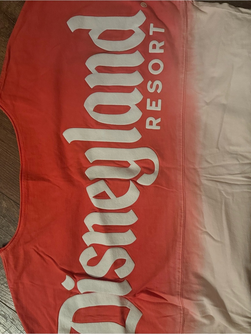 Disneyland resort top